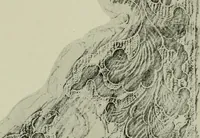 An illustration from Studies in the decorative art of Japan (1910)