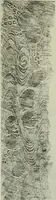 An illustration from Studies in the decorative art of Japan (1910)