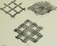 An illustration from Studies in the decorative art of Japan (1910)