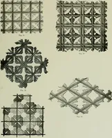 An illustration from Studies in the decorative art of Japan (1910)