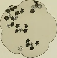 Picture 55 of 111 from Studies in the decorative art of Japan (1910), leaf 91
