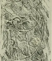 An illustration from Studies in the decorative art of Japan (1910)