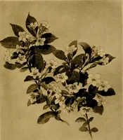 An illustration from Decorative elements in architecture; random observations on the eternal fitness of things from a decorative point of view (1917)