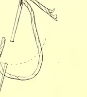 An illustration from Decorative needlework (1893)
