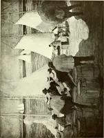 Picture 241 of 474 from Decorative painting (1912), leaf 193