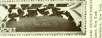 Picture 117 of 474 from Decorative painting (1912), leaf 96