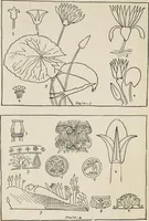 An illustration from The decorative periods (1906)