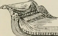 An illustration from The decorative periods (1906)
