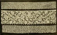 An illustration from Decorative textiles; an illustrated book on coverings for furniture, walls and floors, including damasks, brocades and velvets, tapestries, laces, embroideries, chintzes, cretones, drapery and furniture trimmings, wall papers, carpets and rugs, tooled and illuminated leathers (1918)