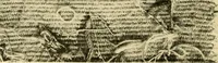 An illustration from Decorative textiles; an illustrated book on coverings for furniture, walls and floors, including damasks, brocades and velvets, tapestries, laces, embroideries, chintzes, cretones, drapery and furniture trimmings, wall papers, carpets and rugs, tooled and illuminated leathers (1918)