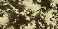 An illustration from Decorative textiles; an illustrated book on coverings for furniture, walls and floors, including damasks, brocades and velvets, tapestries, laces, embroideries, chintzes, cretones, drapery and furniture trimmings, wall papers, carpets and rugs, tooled and illuminated leathers (1918)