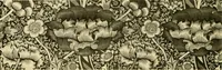 An illustration from Decorative textiles; an illustrated book on coverings for furniture, walls and floors, including damasks, brocades and velvets, tapestries, laces, embroideries, chintzes, cretones, drapery and furniture trimmings, wall papers, carpets and rugs, tooled and illuminated leathers (1918)