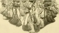An illustration from Decorative textiles; an illustrated book on coverings for furniture, walls and floors, including damasks, brocades and velvets, tapestries, laces, embroideries, chintzes, cretones, drapery and furniture trimmings, wall papers, carpets and rugs, tooled and illuminated leathers (1918)