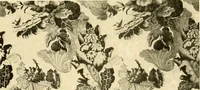 An illustration from Decorative textiles; an illustrated book on coverings for furniture, walls and floors, including damasks, brocades and velvets, tapestries, laces, embroideries, chintzes, cretones, drapery and furniture trimmings, wall papers, carpets and rugs, tooled and illuminated leathers (1918)