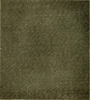 An illustration from Decorative textiles; an illustrated book on coverings for furniture, walls and floors, including damasks, brocades and velvets, tapestries, laces, embroideries, chintzes, cretones, drapery and furniture trimmings, wall papers, carpets and rugs, tooled and illuminated leathers (1918)