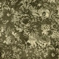 An illustration from Decorative textiles; an illustrated book on coverings for furniture, walls and floors, including damasks, brocades and velvets, tapestries, laces, embroideries, chintzes, cretones, drapery and furniture trimmings, wall papers, carpets and rugs, tooled and illuminated leathers (1918)