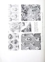 An illustration from Decorative textiles : an illustrated book on coverings for furniture, walls and floors, including damasks, brocades and velvets, tapestries, laces, embroideries, chintzes, cretonnes, drapery and furniture trimmings, wall papers, carpets and rugs, tooled and illuminated leathers (1918)