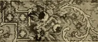 Picture 218 of 482 from Decorative textiles; an illustrated book on coverings for furniture, walls and floors, including damasks, brocades and velvets, tapestries, laces, embroideries, chintzes, cretonnes, drapery and furniture trimmings, wall papers, carpets and rugs, tooled and illuminated leathers (1918), leaf 193