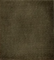 Picture 75 of 482 from Decorative textiles; an illustrated book on coverings for furniture, walls and floors, including damasks, brocades and velvets, tapestries, laces, embroideries, chintzes, cretonnes, drapery and furniture trimmings, wall papers, carpets and rugs, tooled and illuminated leathers (1918), leaf 87