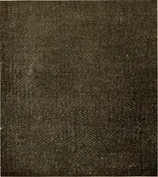 Picture 76 of 482 from Decorative textiles; an illustrated book on coverings for furniture, walls and floors, including damasks, brocades and velvets, tapestries, laces, embroideries, chintzes, cretonnes, drapery and furniture trimmings, wall papers, carpets and rugs, tooled and illuminated leathers (1918), leaf 87