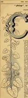 Picture 139 of 263 from The Decorator's assistant (1847), leaf 121