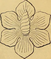 Picture 143 of 263 from The Decorator's assistant (1847), leaf 122