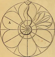 Picture 144 of 263 from The Decorator's assistant (1847), leaf 123