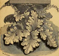 An illustration from The Decorator's assistant (1847)