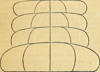 Picture 181 of 263 from The Decorator's assistant (1847), leaf 146