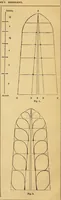 Picture 37 of 263 from The Decorator's assistant (1847), leaf 41