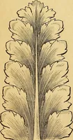 An illustration from The Decorator's assistant (1847)