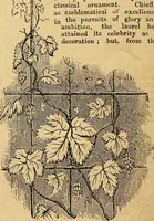 An illustration from The Decorator's assistant (1847)