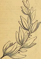 An illustration from The Decorator's assistant (1847)