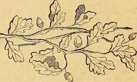 An illustration from The Decorator's assistant (1847)