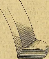 Picture 155 of 191 from The Decorator's assistant (1847), leaf 189