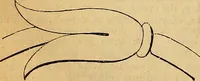 An illustration from The Decorator's assistant (1847)
