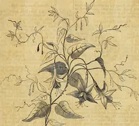 Picture 180 of 191 from The Decorator's assistant (1847), leaf 223
