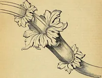 Picture 41 of 191 from The Decorator's assistant (1847), leaf 42