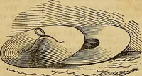 Picture 72 of 191 from The Decorator's assistant (1847), leaf 80