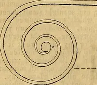Picture 101 of 489 from The Decorator's assistant (1847), leaf 183
