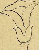 Picture 179 of 489 from The Decorator's assistant (1847), leaf 354