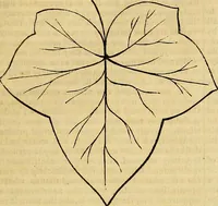 Picture 198 of 489 from The Decorator's assistant (1847), leaf 378
