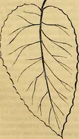 Picture 200 of 489 from The Decorator's assistant (1847), leaf 378
