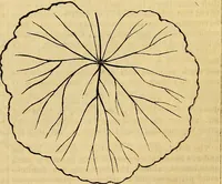 Picture 201 of 489 from The Decorator's assistant (1847), leaf 378