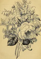 Picture 258 of 489 from The Decorator's assistant (1847), leaf 468