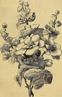 Picture 284 of 489 from The Decorator's assistant (1847), leaf 528