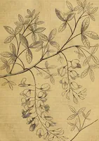 Picture 23 of 489 from The Decorator's assistant (1847), leaf 58