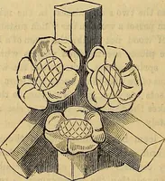 Picture 377 of 489 from The Decorator's assistant (1847), leaf 691