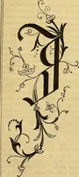 Picture 382 of 489 from The Decorator's assistant (1847), leaf 700