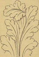 Picture 421 of 489 from The Decorator's assistant (1847), leaf 751